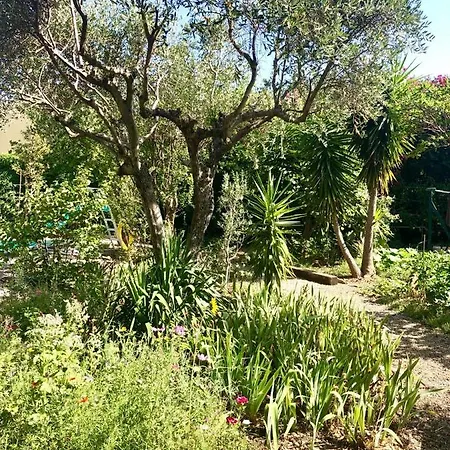Les Pinsons * La Ciotat
