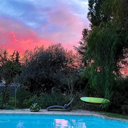 Les Pinsons La Ciotat